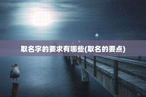 取名字的要求有哪些(取名的要点)