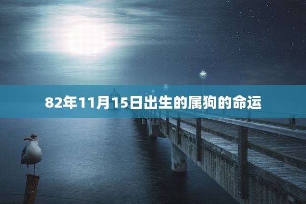 82年11月15日出生的属狗的命运