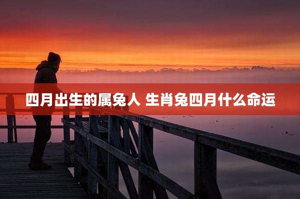 四月出生的属兔人 生肖兔四月什么命运