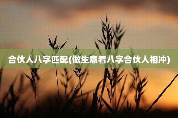 合伙人八字匹配(做生意看八字合伙人相冲)