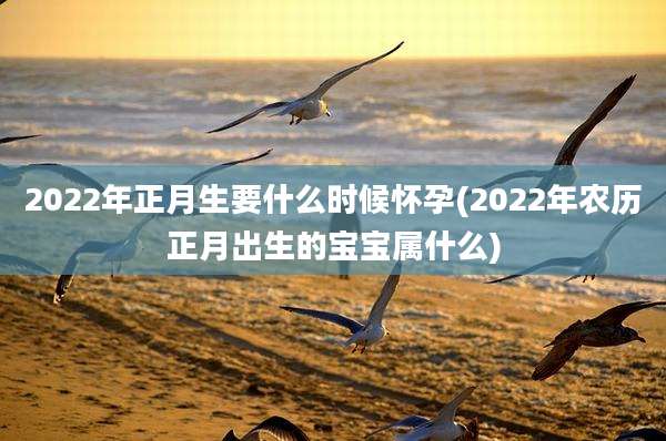 2022年正月生要什么时候怀孕(2022年农历正月出生的宝宝属什么)