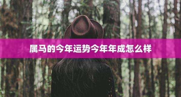 属马的今年运势今年年成怎么样