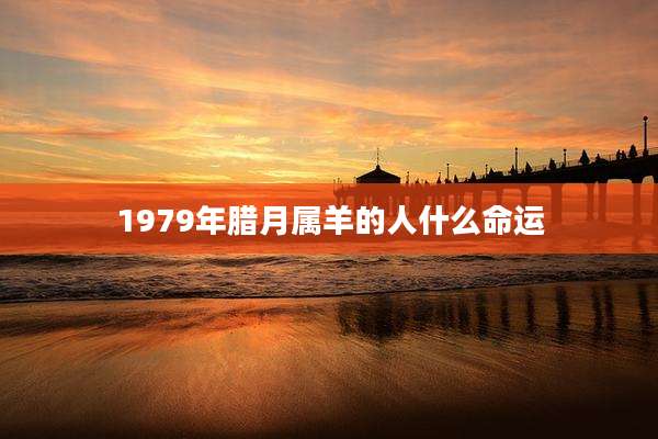 1979年腊月属羊的人什么命运
