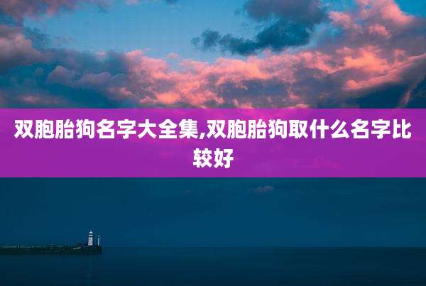 双胞胎狗名字大全集,双胞胎狗取什么名字比较好