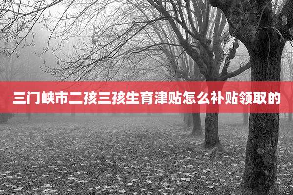 三门峡市二孩三孩生育津贴怎么补贴领取的