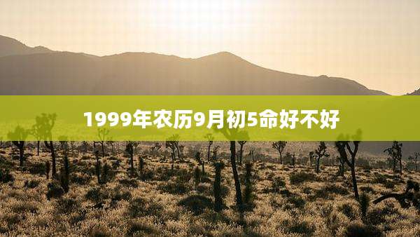 1999年农历9月初5命好不好