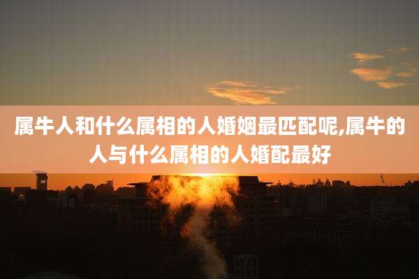 属牛人和什么属相的人婚姻最匹配呢,属牛的人与什么属相的人婚配最好