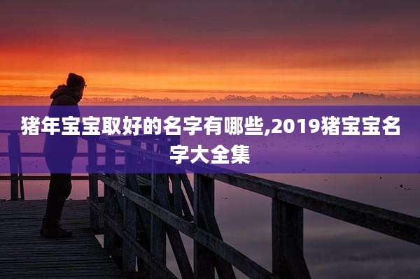 猪年宝宝取好的名字有哪些,2019猪宝宝名字大全集
