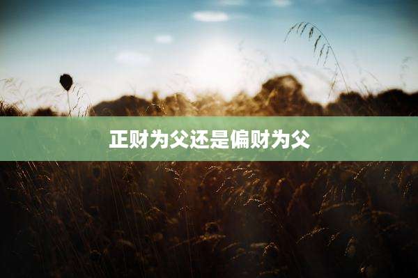正财为父还是偏财为父