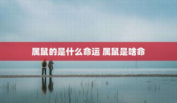 属鼠的是什么命运 属鼠是啥命