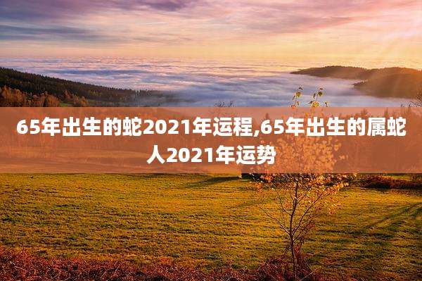 65年出生的蛇2021年运程,65年出生的属蛇人2021年运势