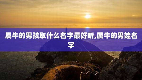 属牛的男孩取什么名字最好听,属牛的男娃名字