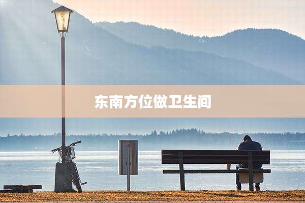 东南方位做卫生间