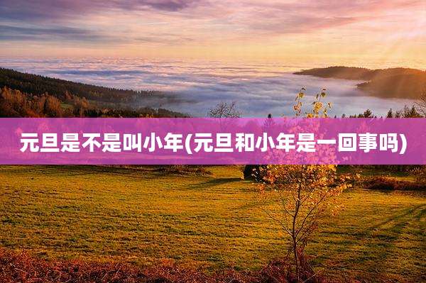 元旦是不是叫小年(元旦和小年是一回事吗)