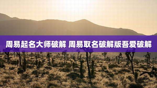 周易起名大师破解 周易取名破解版吾爱破解