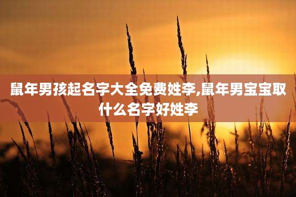 鼠年男孩起名字大全免费姓李,鼠年男宝宝取什么名字好姓李