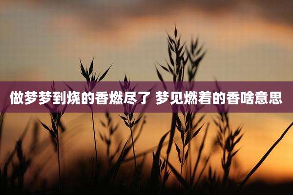 做梦梦到烧的香燃尽了 梦见燃着的香啥意思
