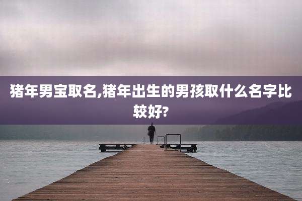 猪年男宝取名,猪年出生的男孩取什么名字比较好?