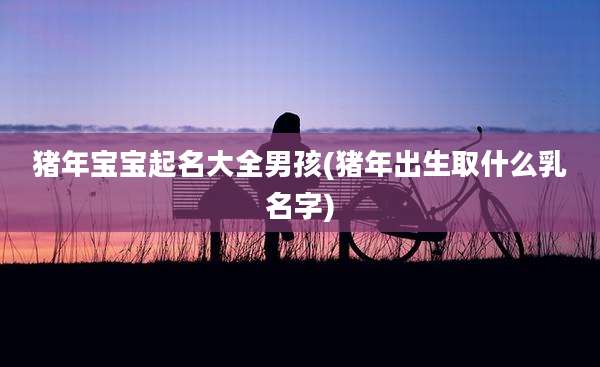 猪年宝宝起名大全男孩(猪年出生取什么乳名字)