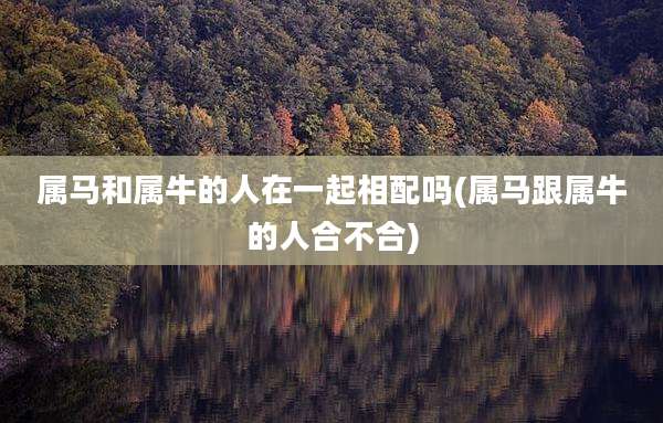 属马和属牛的人在一起相配吗(属马跟属牛的人合不合)