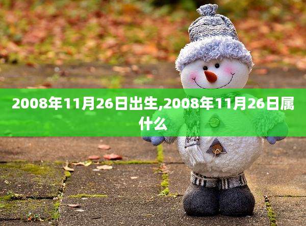 2008年11月26日出生,2008年11月26日属什么