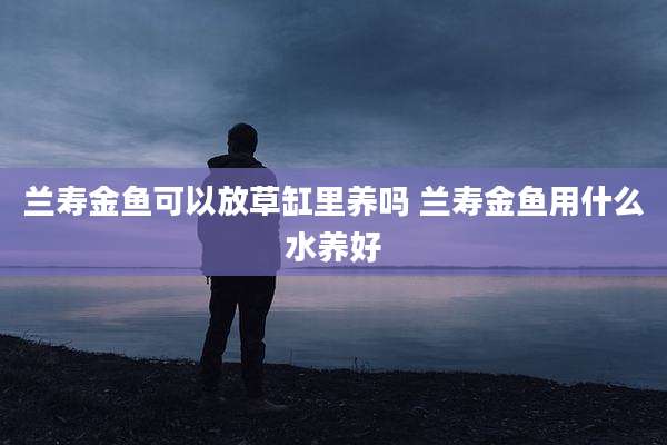 兰寿金鱼可以放草缸里养吗 兰寿金鱼用什么水养好