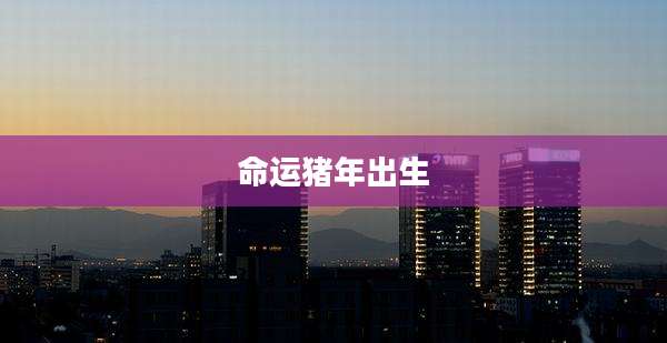 命运猪年出生