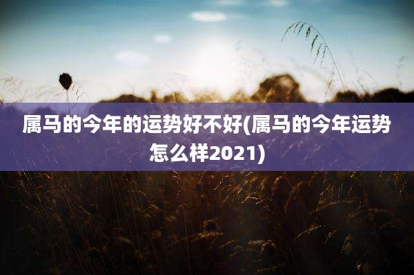 属马的今年的运势好不好(属马的今年运势怎么样2021)