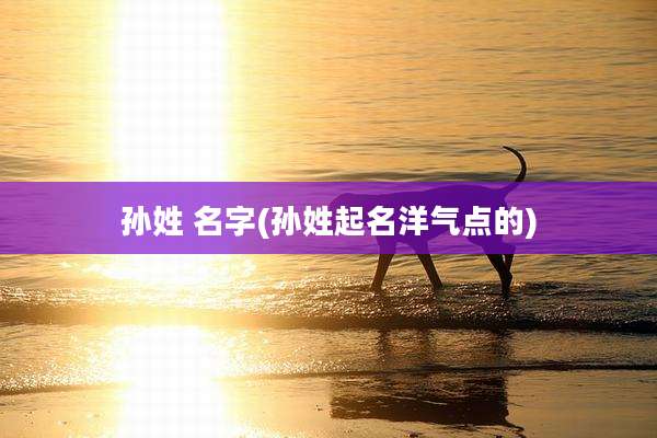 孙姓 名字(孙姓起名洋气点的)