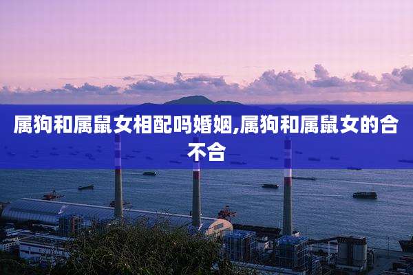 属狗和属鼠女相配吗婚姻,属狗和属鼠女的合不合
