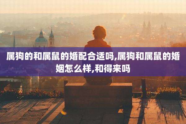 属狗的和属鼠的婚配合适吗,属狗和属鼠的婚姻怎么样,和得来吗