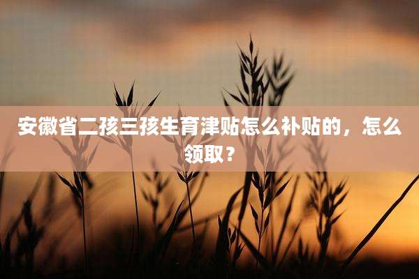 安徽省二孩三孩生育津贴怎么补贴的，怎么领取？