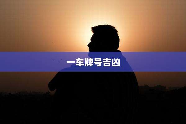 一车牌号吉凶