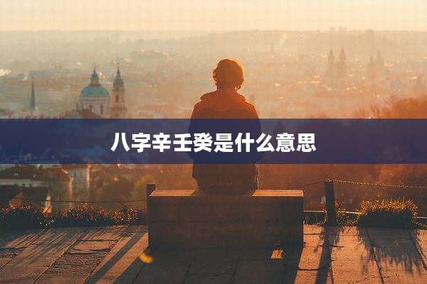 八字辛壬癸是什么意思