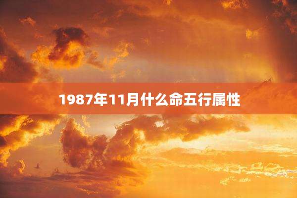 1987年11月什么命五行属性