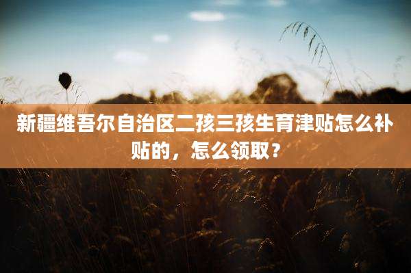 新疆维吾尔自治区二孩三孩生育津贴怎么补贴的，怎么领取？