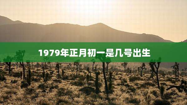 1979年正月初一是几号出生