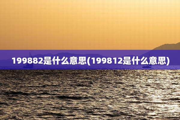 199882是什么意思(199812是什么意思)