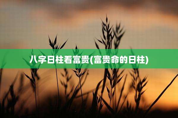 八字日柱看富贵(富贵命的日柱)
