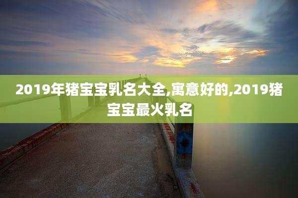 2019年猪宝宝乳名大全,寓意好的,2019猪宝宝最火乳名