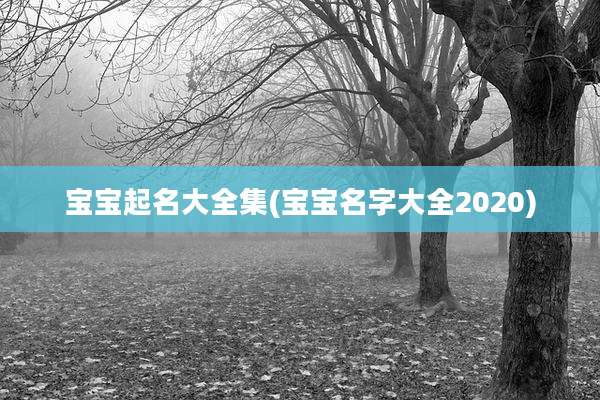 宝宝起名大全集(宝宝名字大全2020)