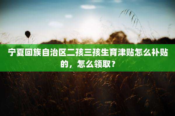 宁夏回族自治区二孩三孩生育津贴怎么补贴的，怎么领取？