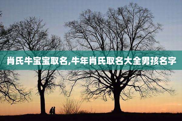 肖氏牛宝宝取名,牛年肖氏取名大全男孩名字