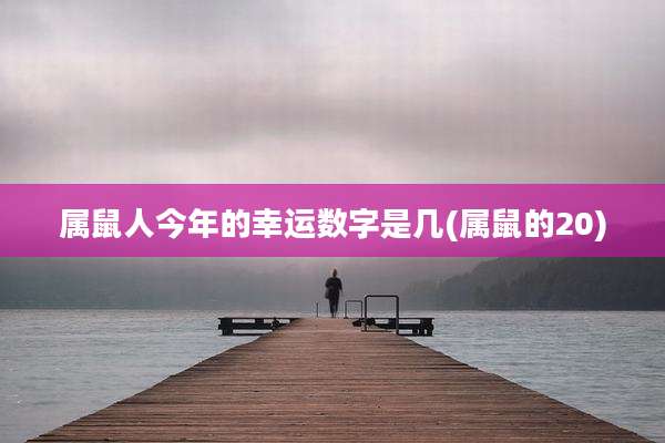 属鼠人今年的幸运数字是几(属鼠的20)