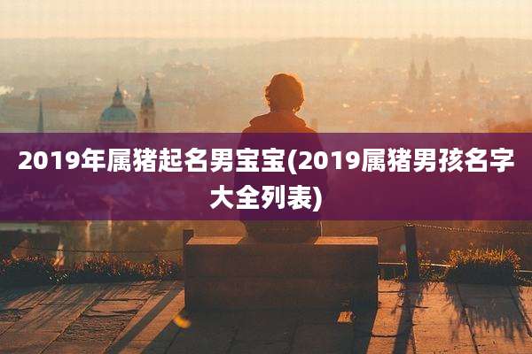 2019年属猪起名男宝宝(2019属猪男孩名字大全列表)