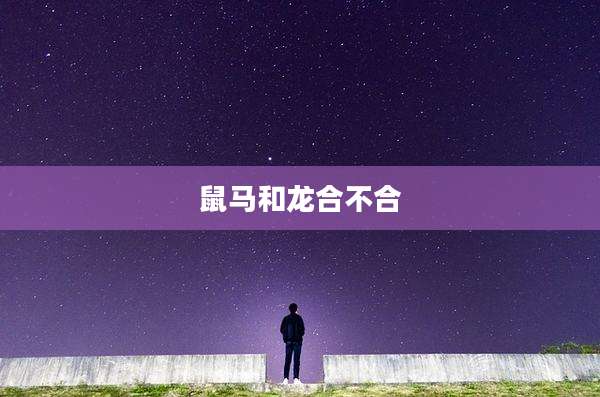 鼠马和龙合不合