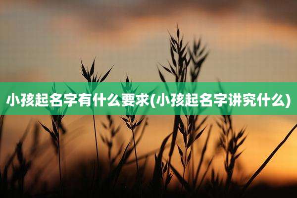 小孩起名字有什么要求(小孩起名字讲究什么)