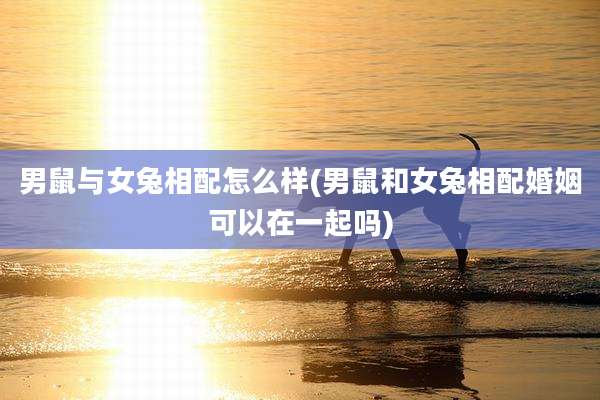 男鼠与女兔相配怎么样(男鼠和女兔相配婚姻可以在一起吗)