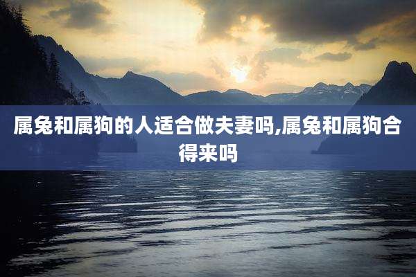 属兔和属狗的人适合做夫妻吗,属兔和属狗合得来吗