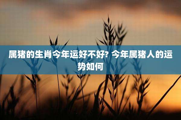 属猪的生肖今年运好不好? 今年属猪人的运势如何